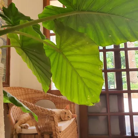 Hotel Riomar *